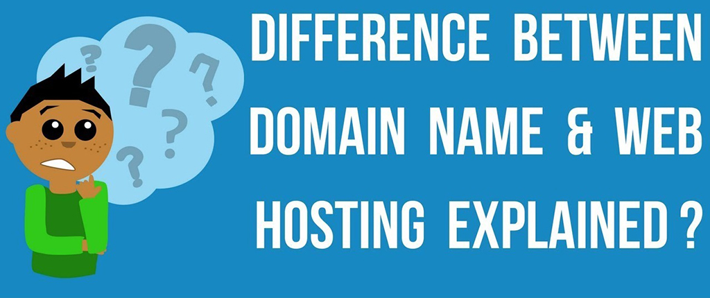 What is the different between Web Hosting and Domain